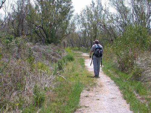 A National Park Service botanist searching for exotic plants on a trail.