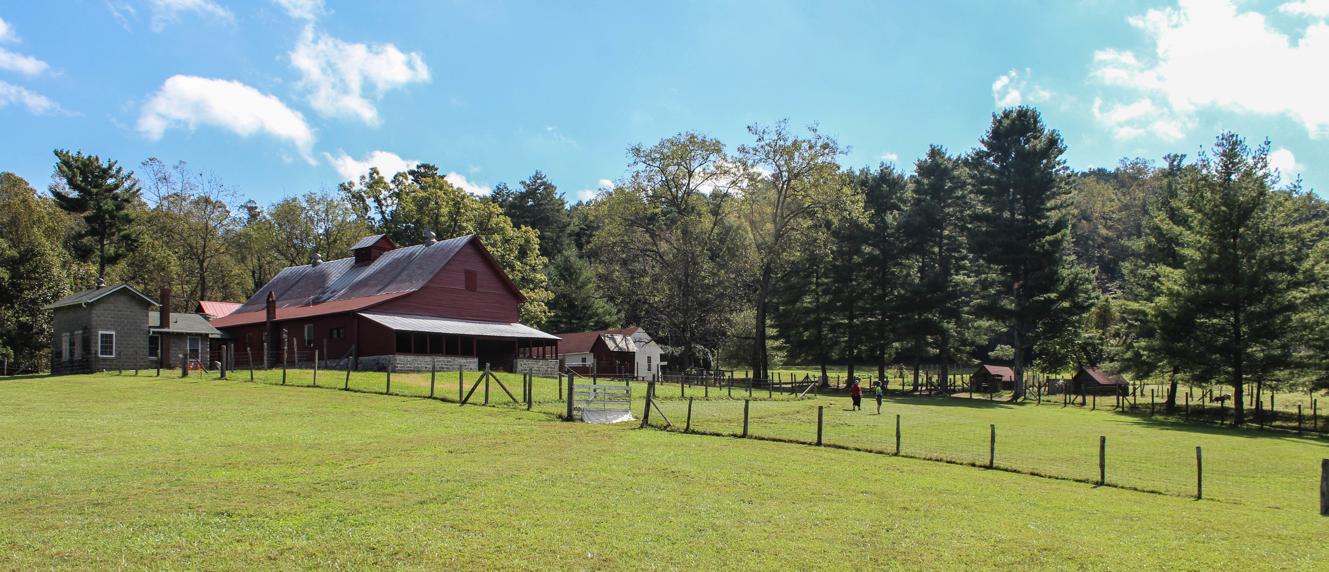 Herd of goats walking through a fence near a farm building 