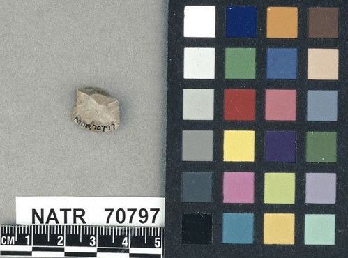 NATR   70797 -- Untyped projectile point