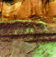 Photograph of mottled greenish paleosols in the Chinle Formation, between Twomile and Fourmile Canyons, Glen Canyon National Recreation Area.