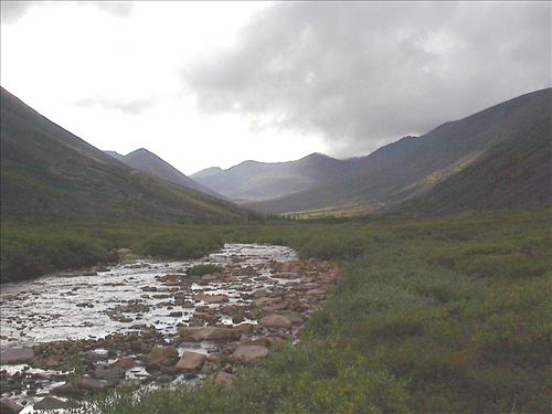 Yukon-Charley Rivers Scenic, 2003 2