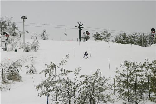 Special Olympics Ohio downhill skiing 1