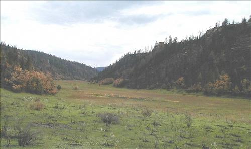 Burned areas immediately following the Bircher fire, Mesa Verde National Park, July 2000