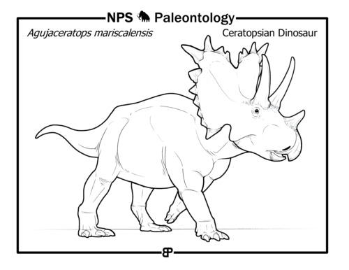 line drawing of a horned dinosaur