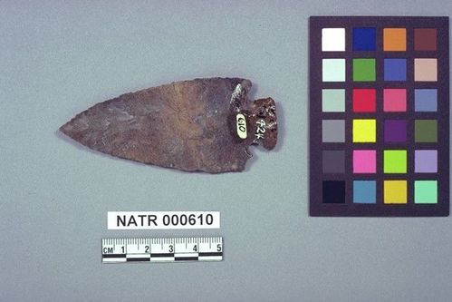 NATR     610 -- Snyders Cluster projectile point