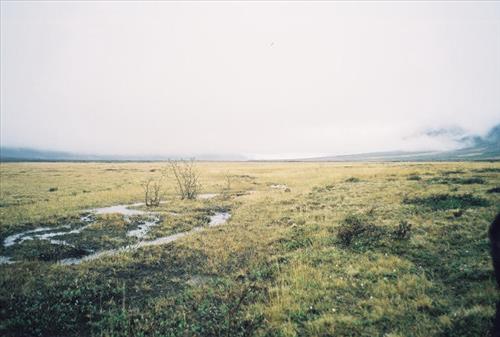 2 Gates of the Arctic National Park and Preserve Itkillik Birds June 2006