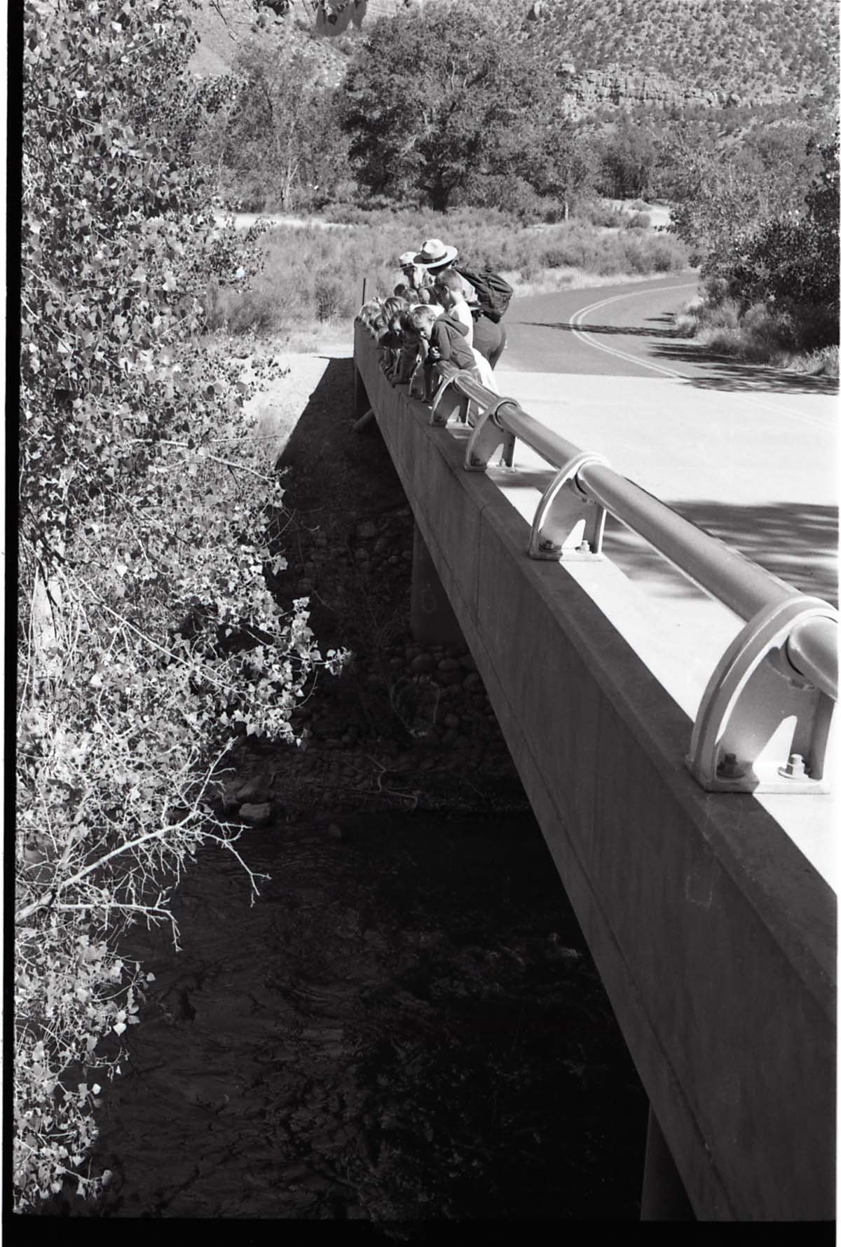 BW Photos of Junior Ranger Activities in Zion. On vehicle bridge near Watchman Housing Area.