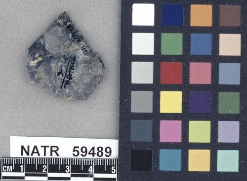 NATR   59489 -- Untyped projectile point