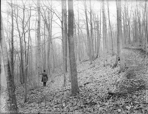 [C5235-CC5244] Mine Brook, NJ