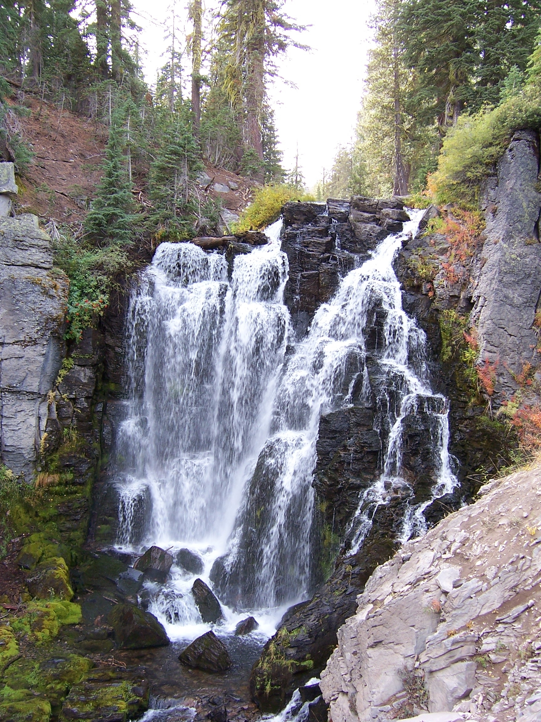 a large waterfall over black rock surrounded by pine trees.