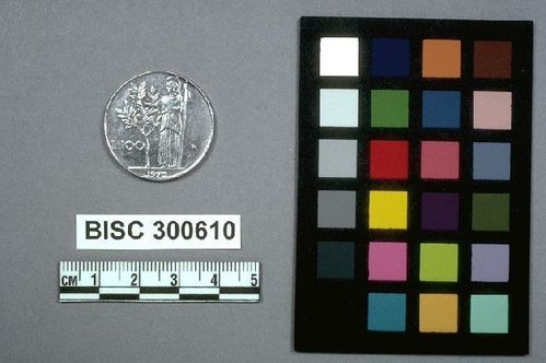 BISC  300610 -- Coin