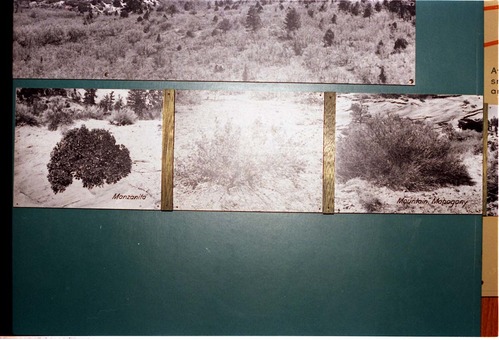 Color Photos of the old visitor center exhibits.