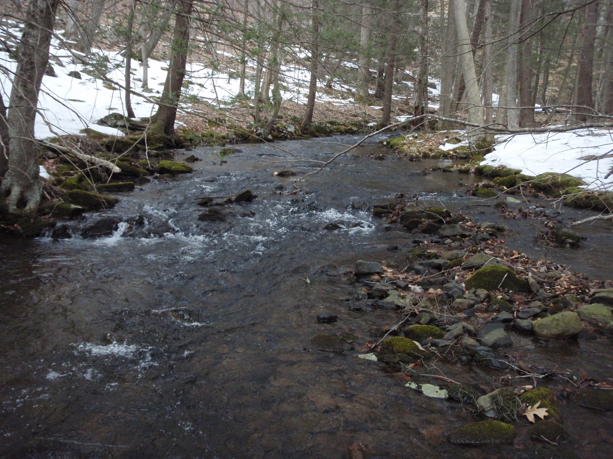 Site visit photo showing the upstream (UP) or downstream (DN) view of a wadeable stream reach taken during benthic macroinvertebrate monitoring at Delaware Water Gap National Recreation Area.