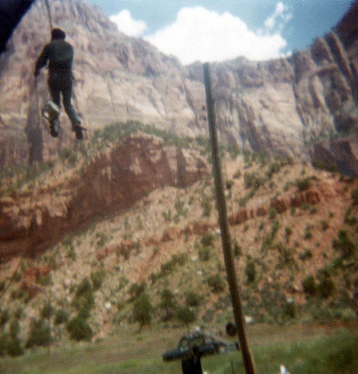 Arborist climbing tree with harness to prune branches, Bridge Mountain and Watchman in background.