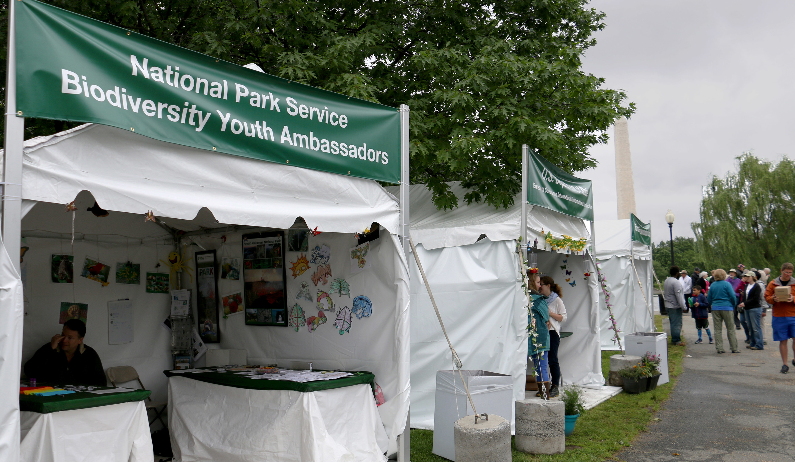 Rainy day at BioBlitz on the National Mall