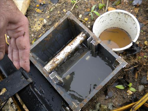 Youth Intern Program Horticultural Interns at Kenilworth Aquatic Gardens