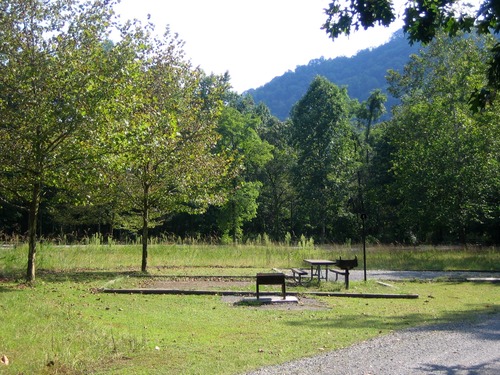 campsite with picnic table and fire grate 