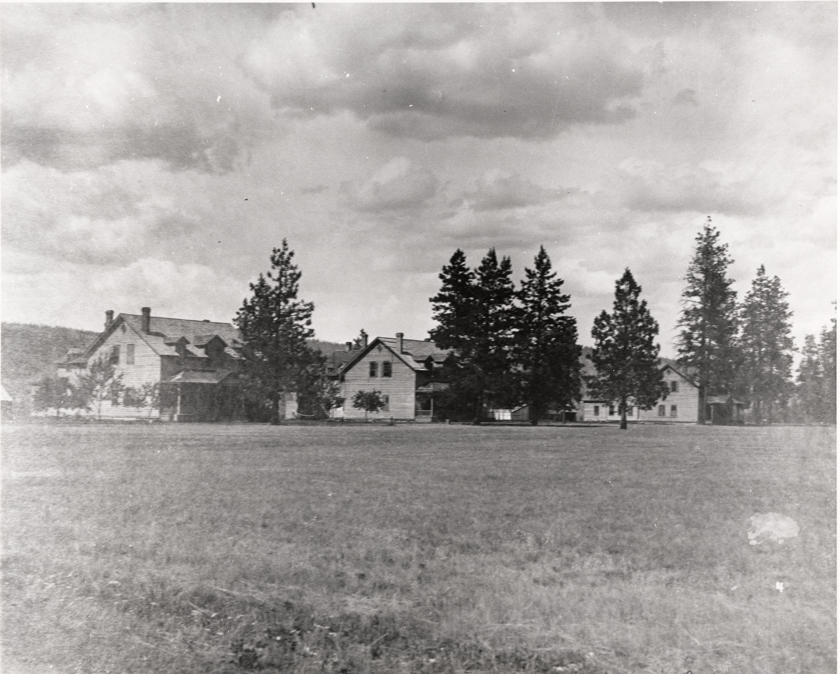 Black and white photograph of several multistory houses in a row on the edge of a clearing