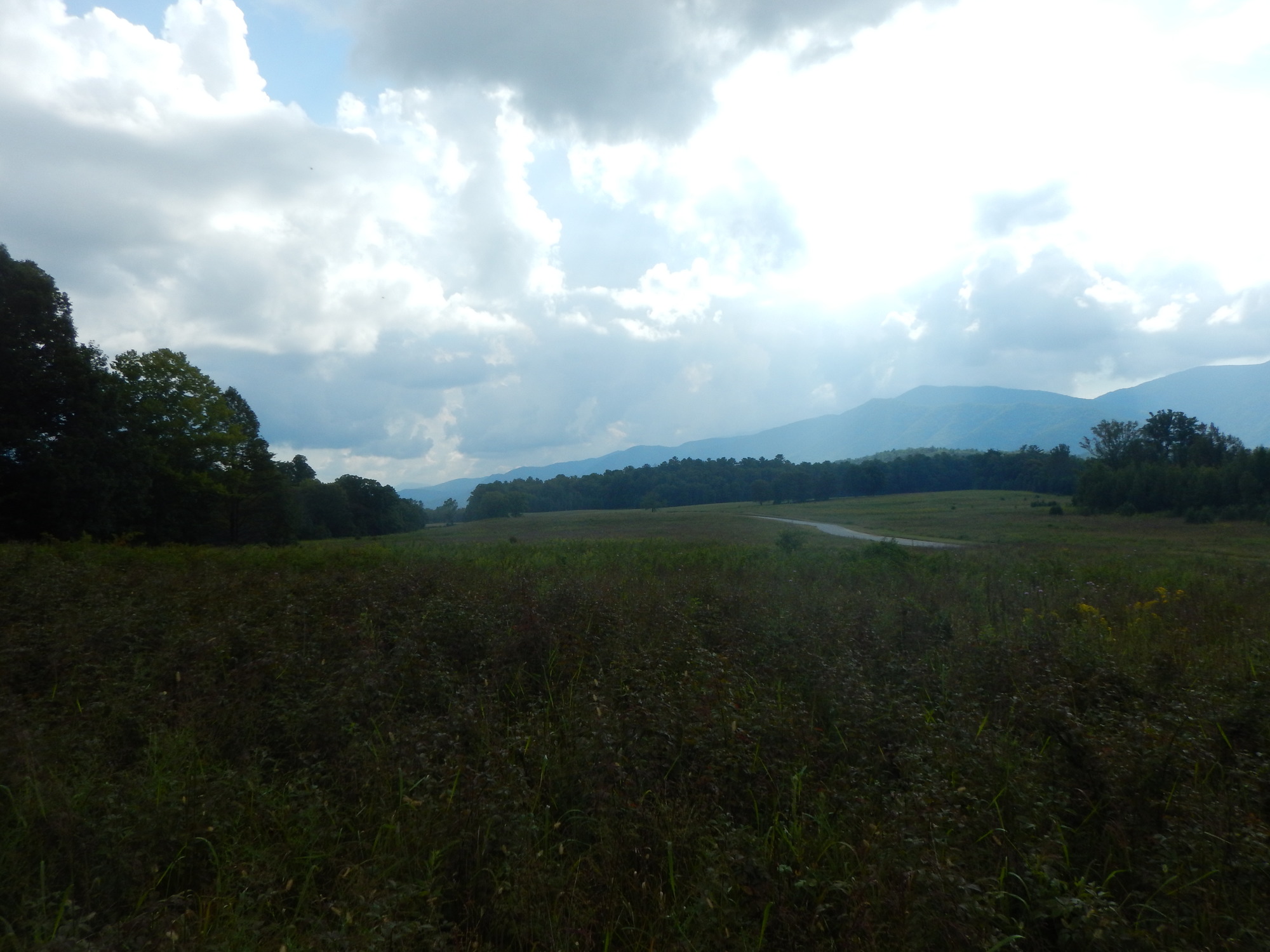 GRSM Accuracy Assessment. Plot Code: GRSM_AA_0633_6