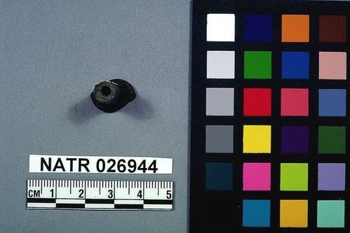 NATR   26944 -- Unidentified