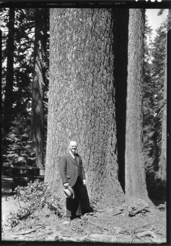 Mr. H. E. Williams (Sec. Wilbur's representative).