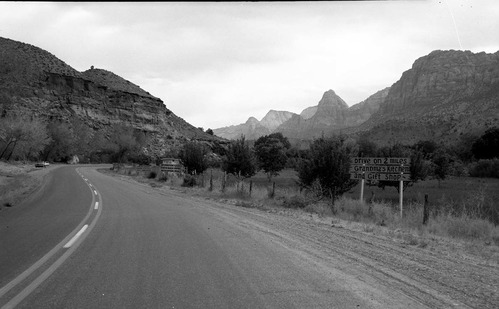 The black on yellow Grandma's signs along State Route 15 (now State Route 9) south of Springdale. Signs were at every turn and straight-a-way from Virgin, Utah to the park's South Entrance. These photos were used as documentation for the proposed clean up project to remove all undesirable signs and debris along the main access route to Zion National Park.