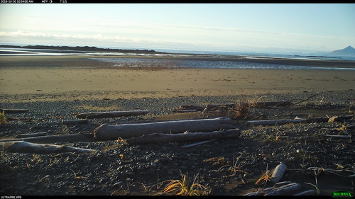 photo data from Katmai National Park. Data accompanies manuscript "Wolves on the Katmai coast hunt sea otters and harbor seals"