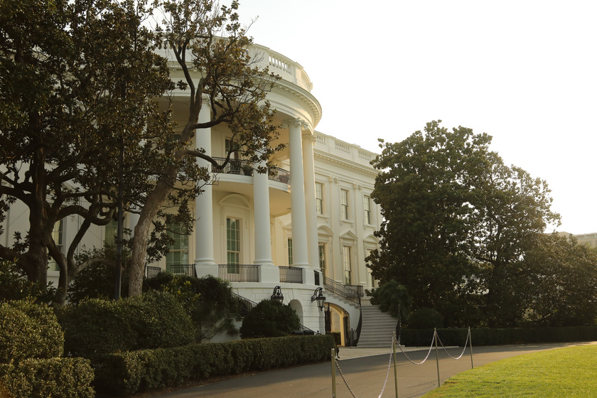 The White House surrounded by large Magnolia trees/ 