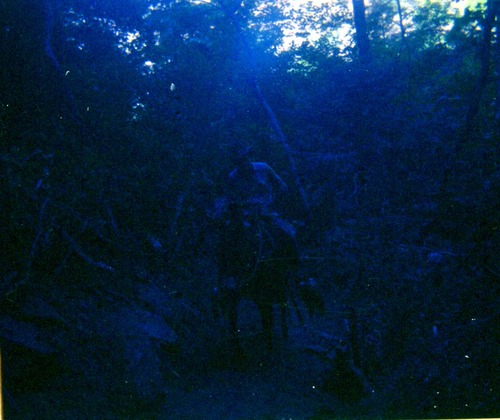 Horse pack-train heading for the East Rim for trail maintenance work.