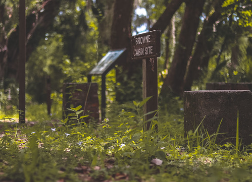a brown sign next to concrete footers surrounded by forest