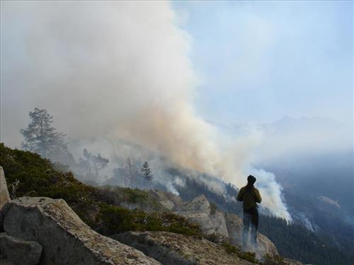 Drip torch ignition on Highbridge Prescribed Burn, Sequoia and Kings Canyon National Parks, October 2005