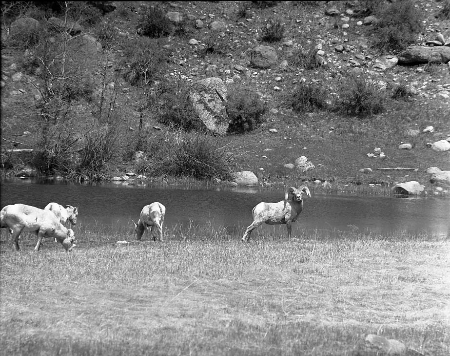 Rocky Mountain National Park