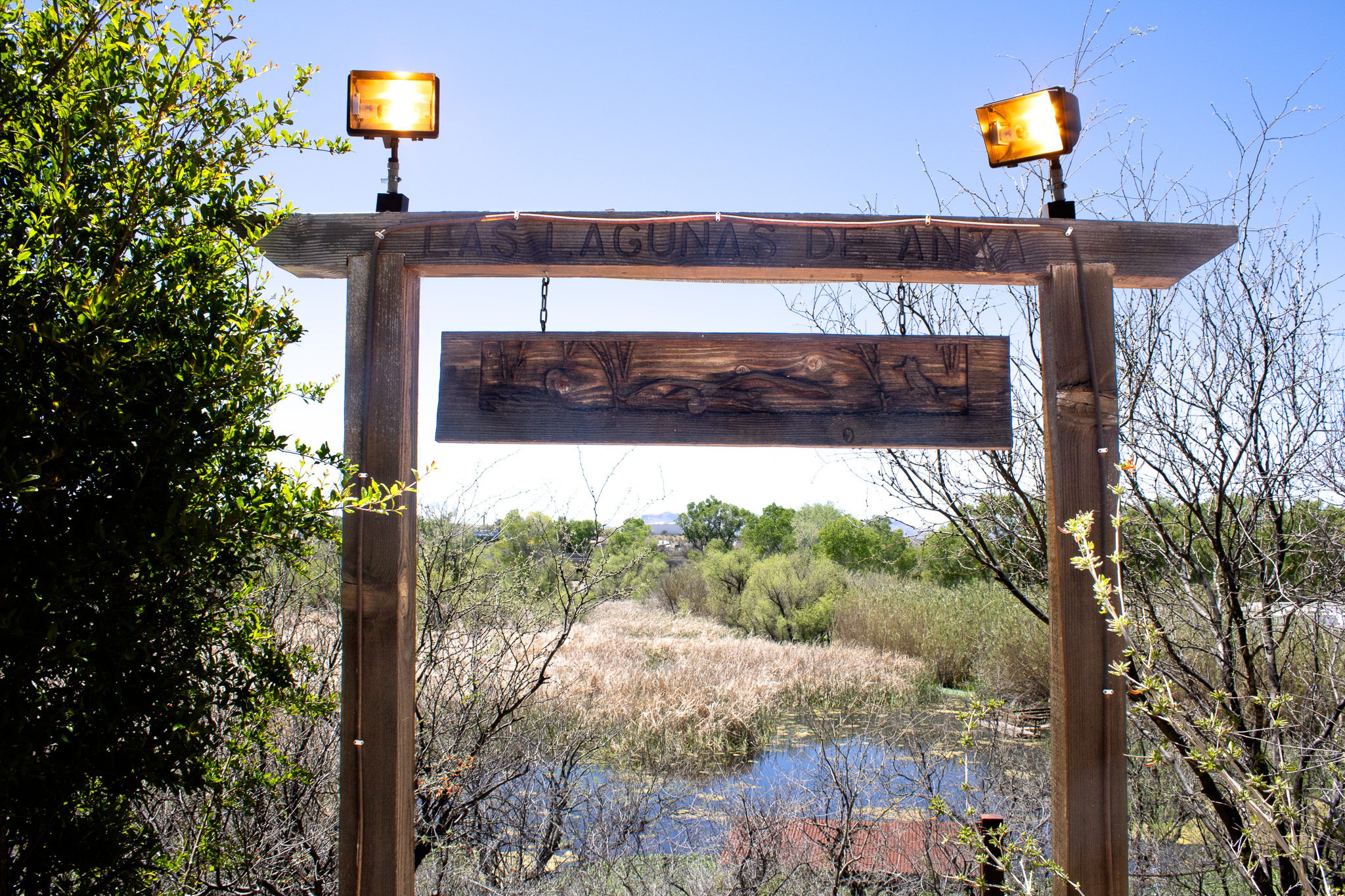 A large wooden entry and sign has two lights affixed to the top and reads, "Las Lagunas de Anza" and stands at the entrance of a marsh with cattails