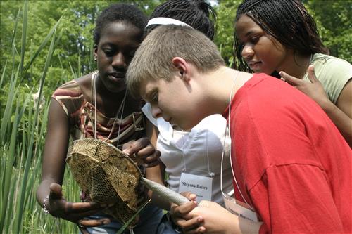 Resident Program-Roles and Residences Pond Exploration