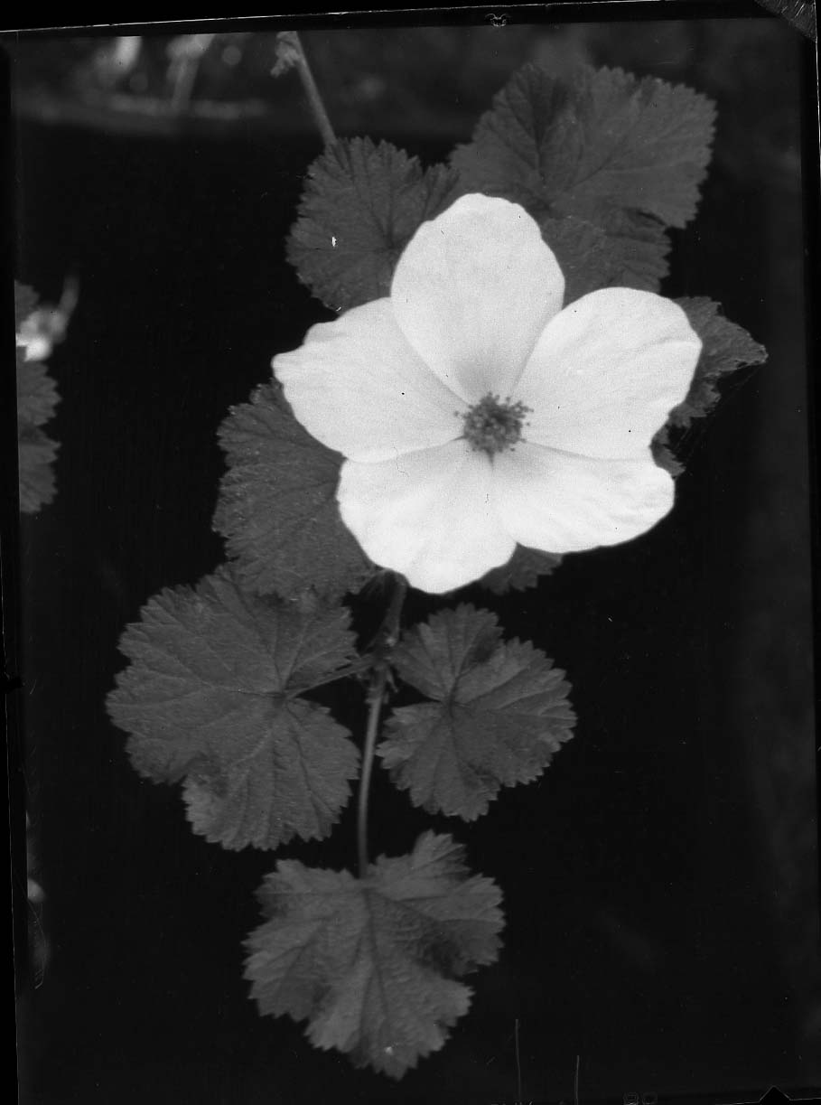 Rocky Mountain National Park