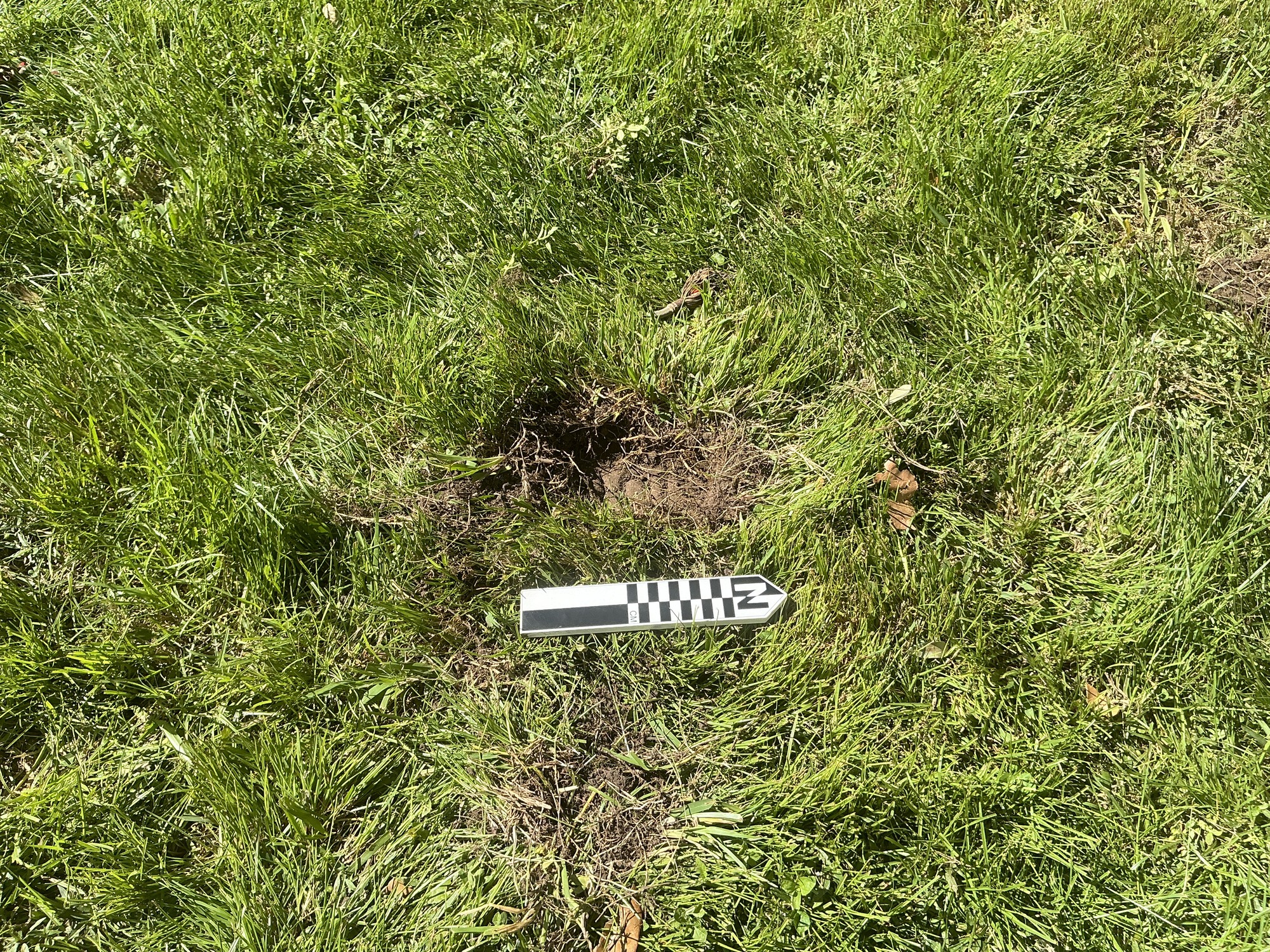 Extra image of flat marble marker