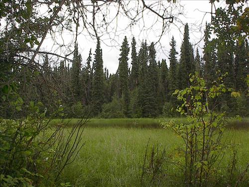1 Yukon-Charley Rivers National Preserve Water Quality Ponds 2003