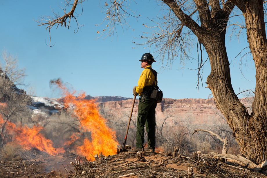A firefighter watches a burning vegetation pile. 