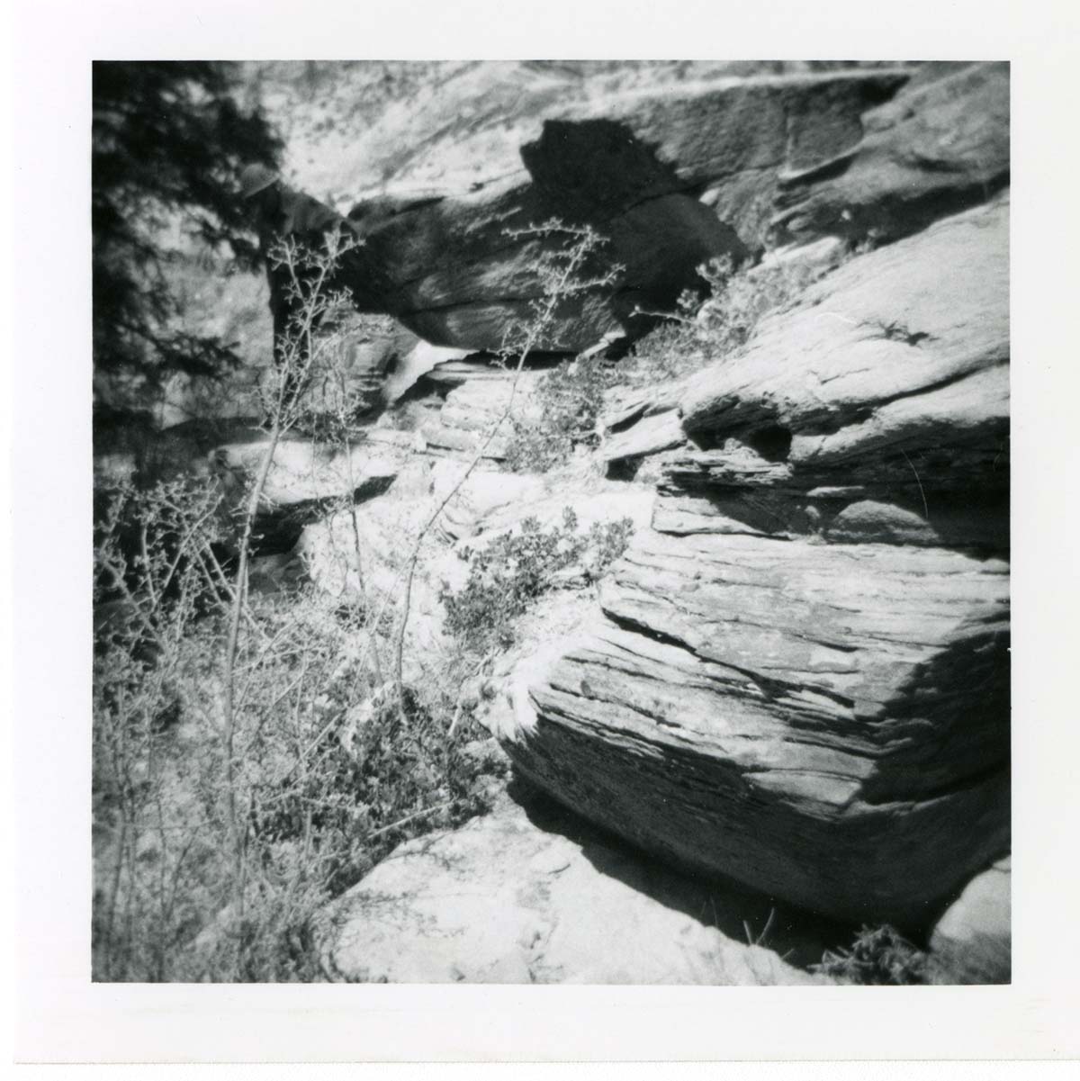 Hidden Canyon trail damage and repairs.