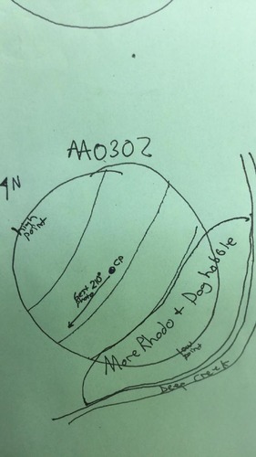GRSM Accuracy Assessment. Plot Code: GRSM_AA_0302_map