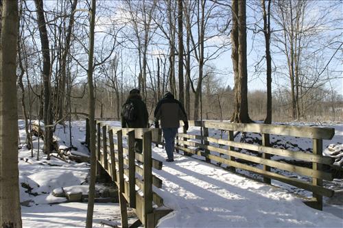 Winter Hiking at Stanford
