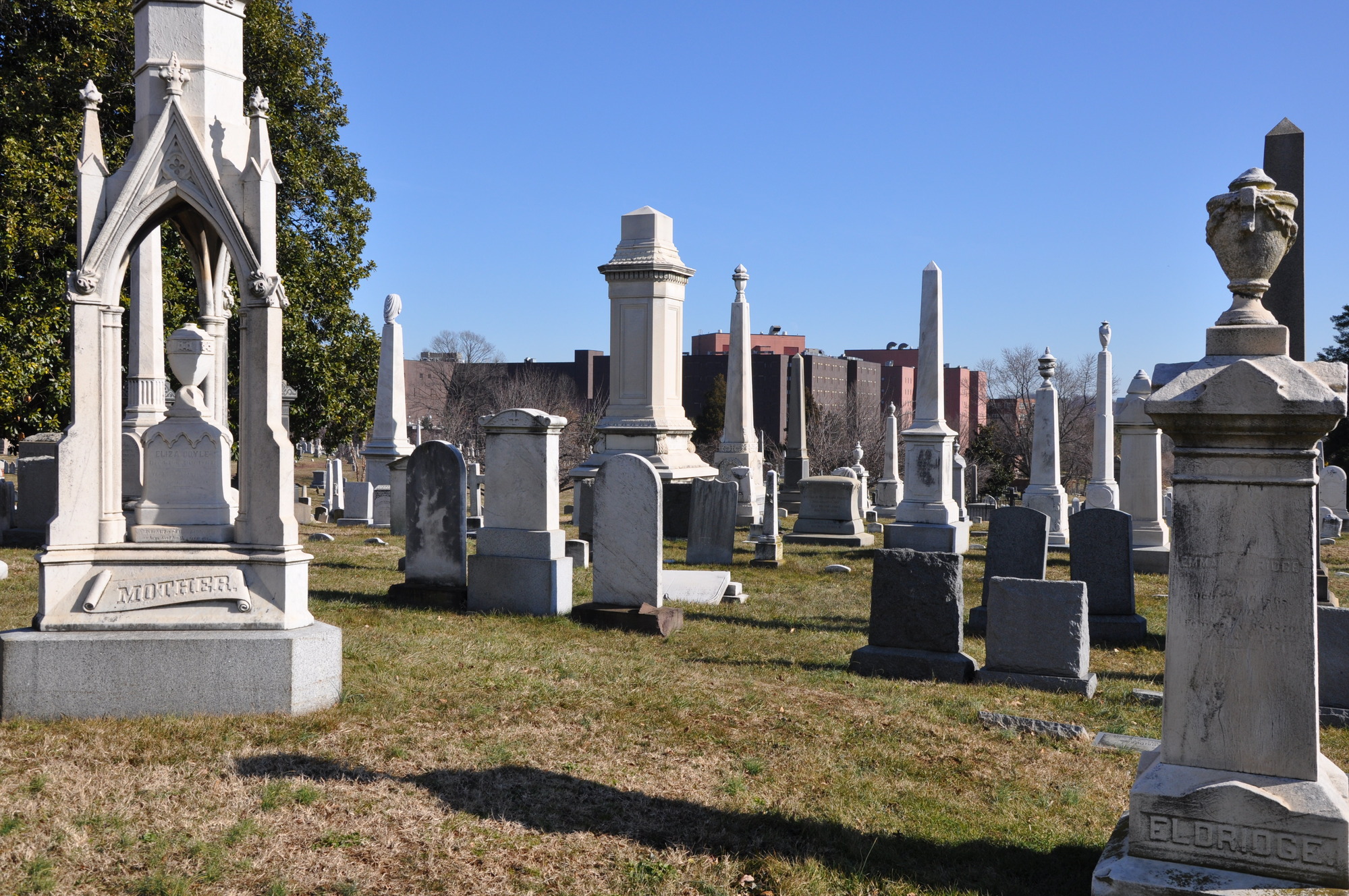 Picture of several stone tombstones and headstones scattered about in a field.
