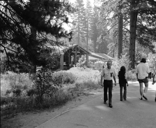 Park Concessions, Yosemite Valley.