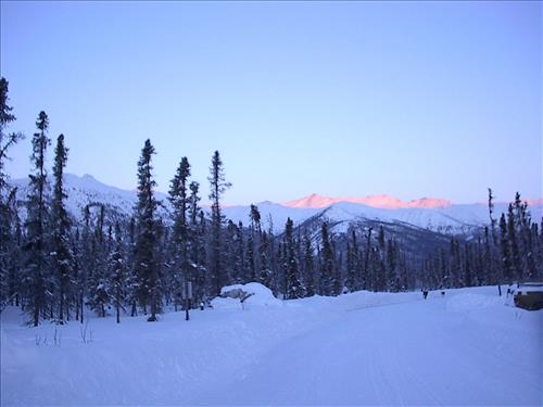 1 Gates of the Arctic National Park and Preserve Hares Survey 2004