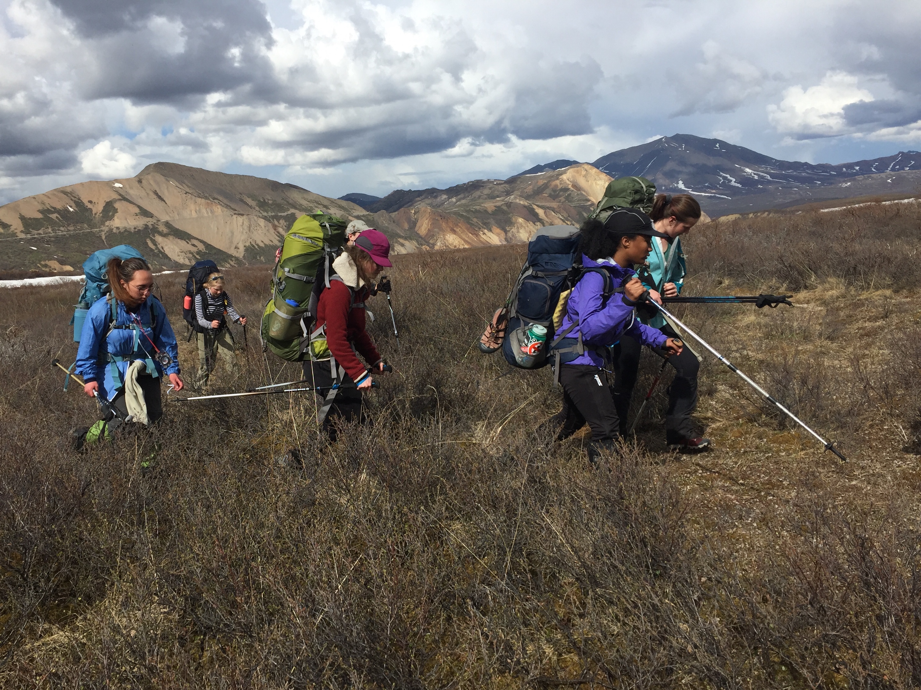 six people hiking through scrubby brush
