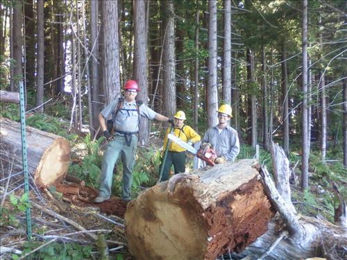 Roach Creek Boundary Fence June 2011