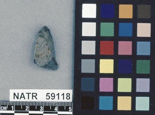 NATR   59118 -- Untyped projectile point