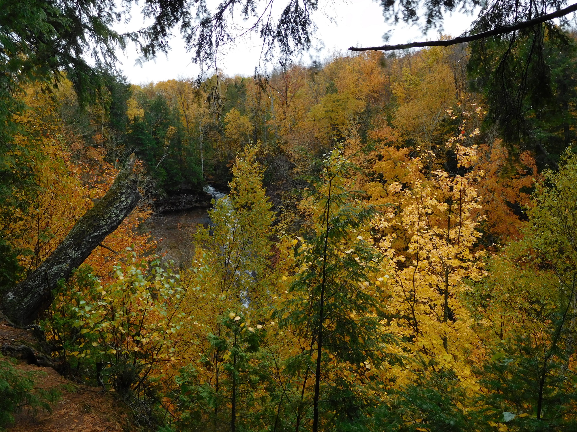 Chapel Falls partially hidden behind the changing colors of leaves