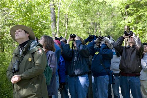 Bird Watchers Close Up