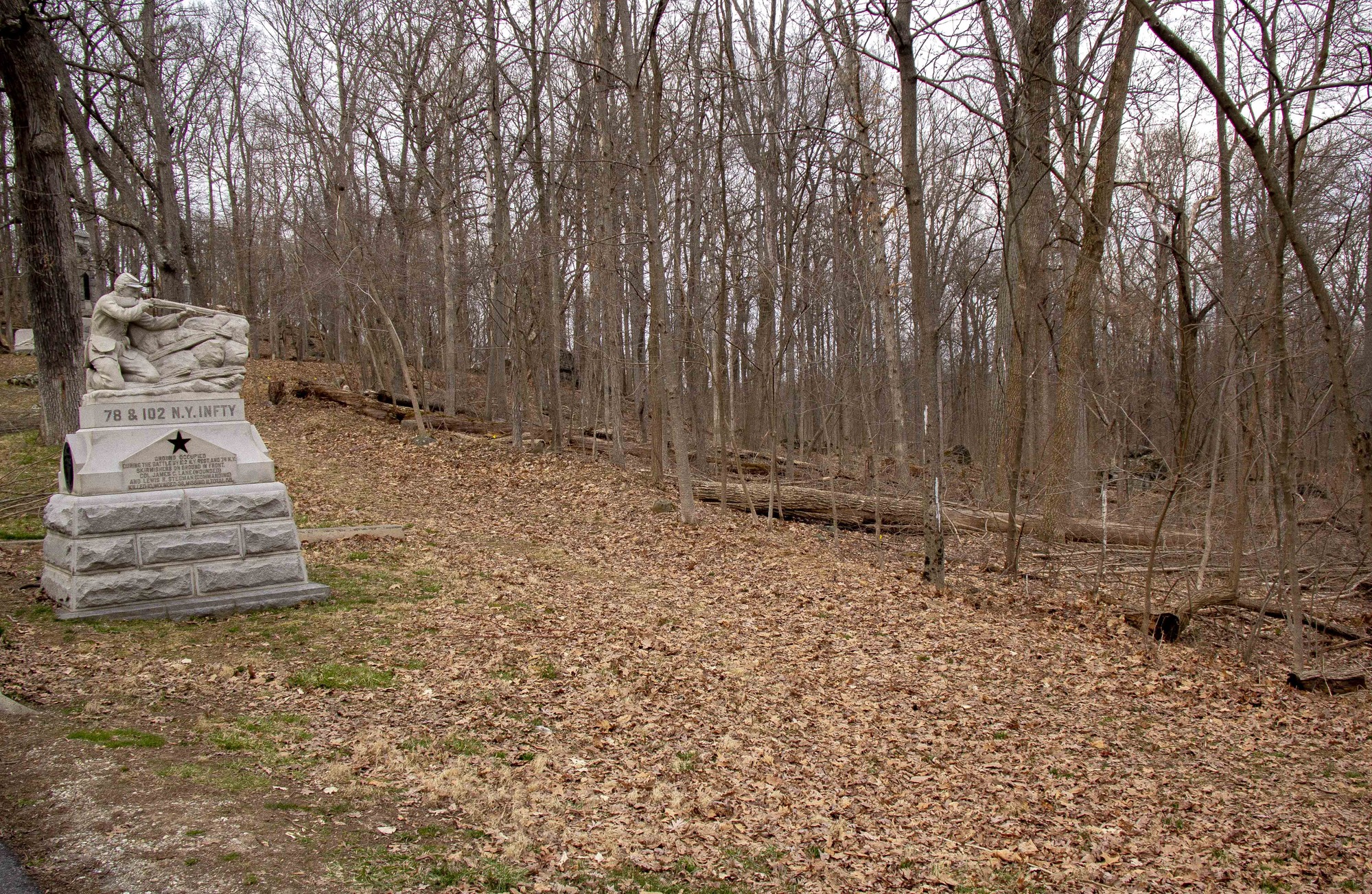 The stone monument to the left hand side is the 78th and 102nd New York Infantry monument, facing an area of leaves and trees in front of the solider on the monument. The soldier points his musket downward to the right as if he were protecting himself from the enemy hiding in the woods in front of him.
